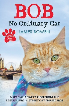 Bob: No Ordinary Cat