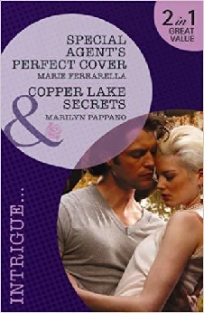 Special Agent’s Perfect Cover