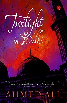 Twilight In Delhi